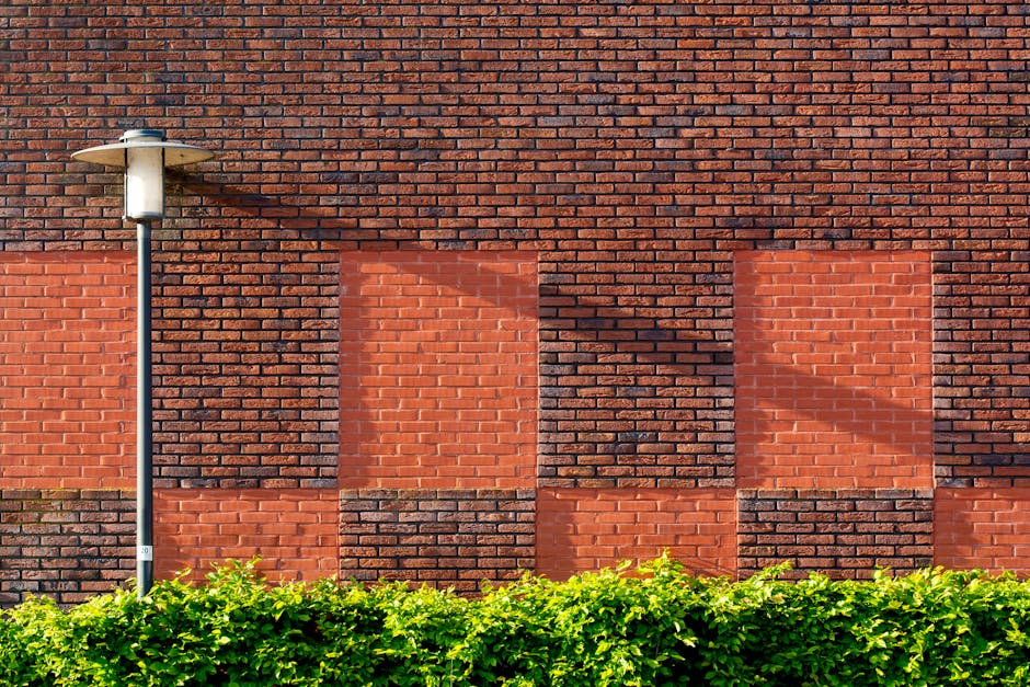 Chantier de comment faire élévation mur